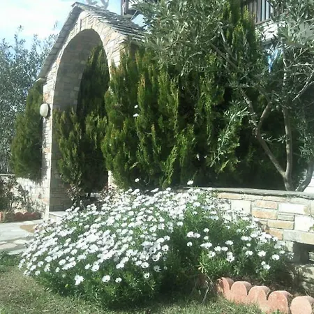 Ballas Агрия